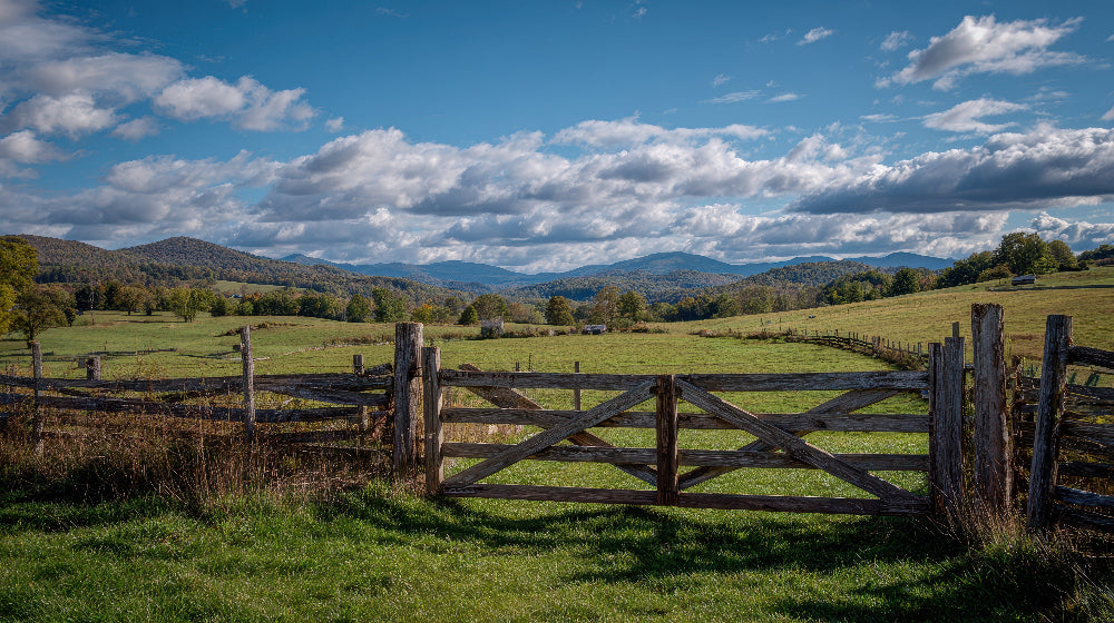 WNC_Farm_Fresh | North Carolina | WNC
